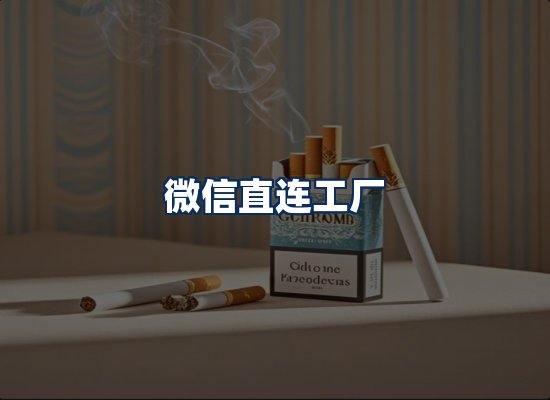 专业团队办公环境